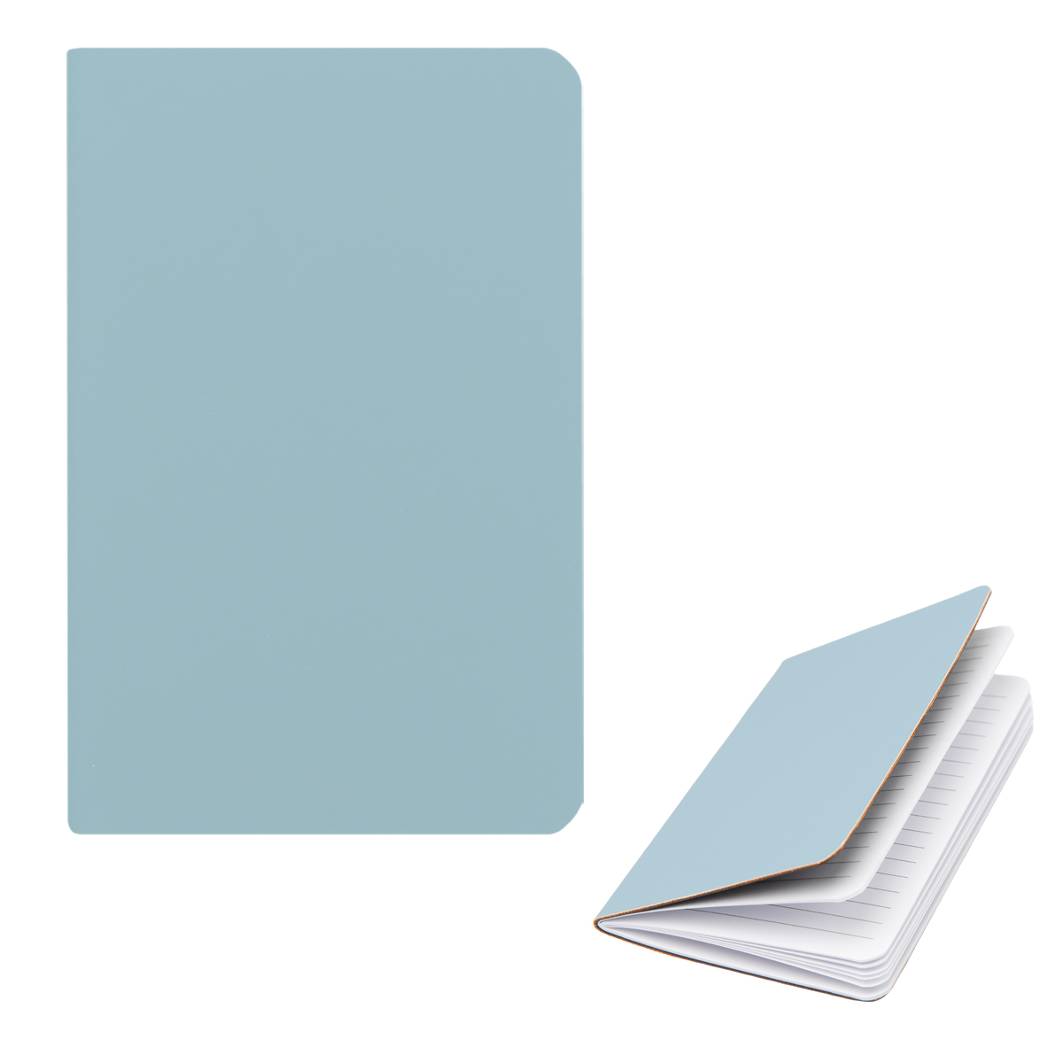 Field Rpet Journal 1