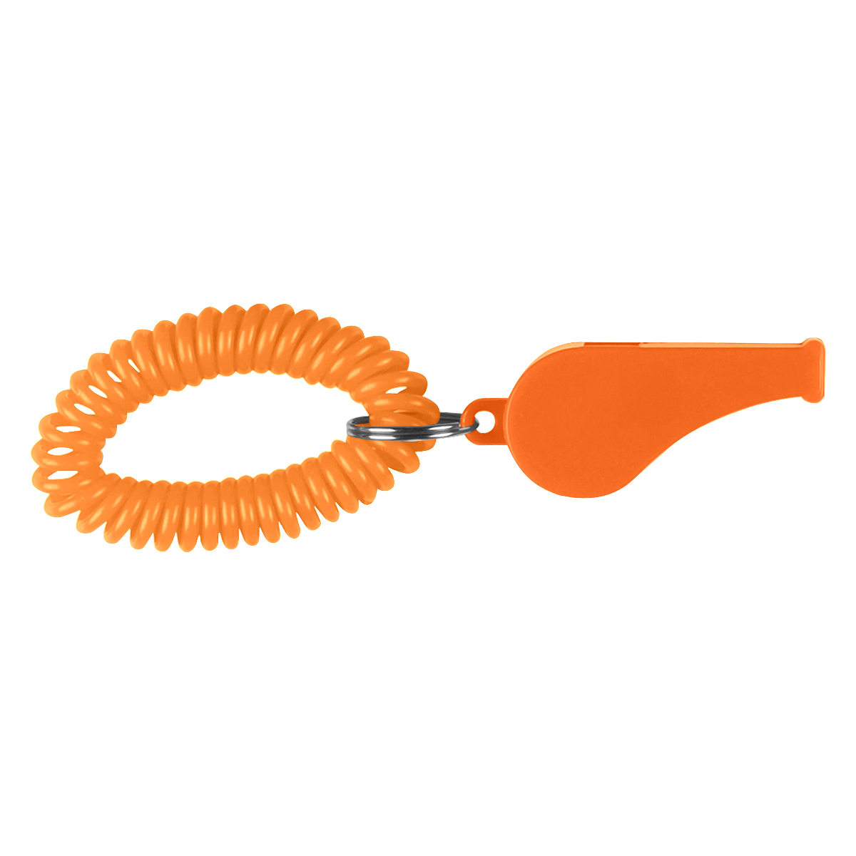 Whistle With Coil 1