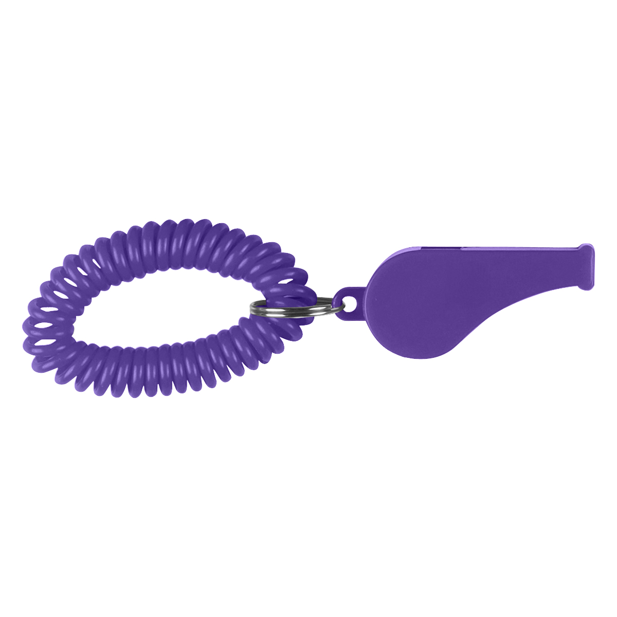 Whistle With Coil 1