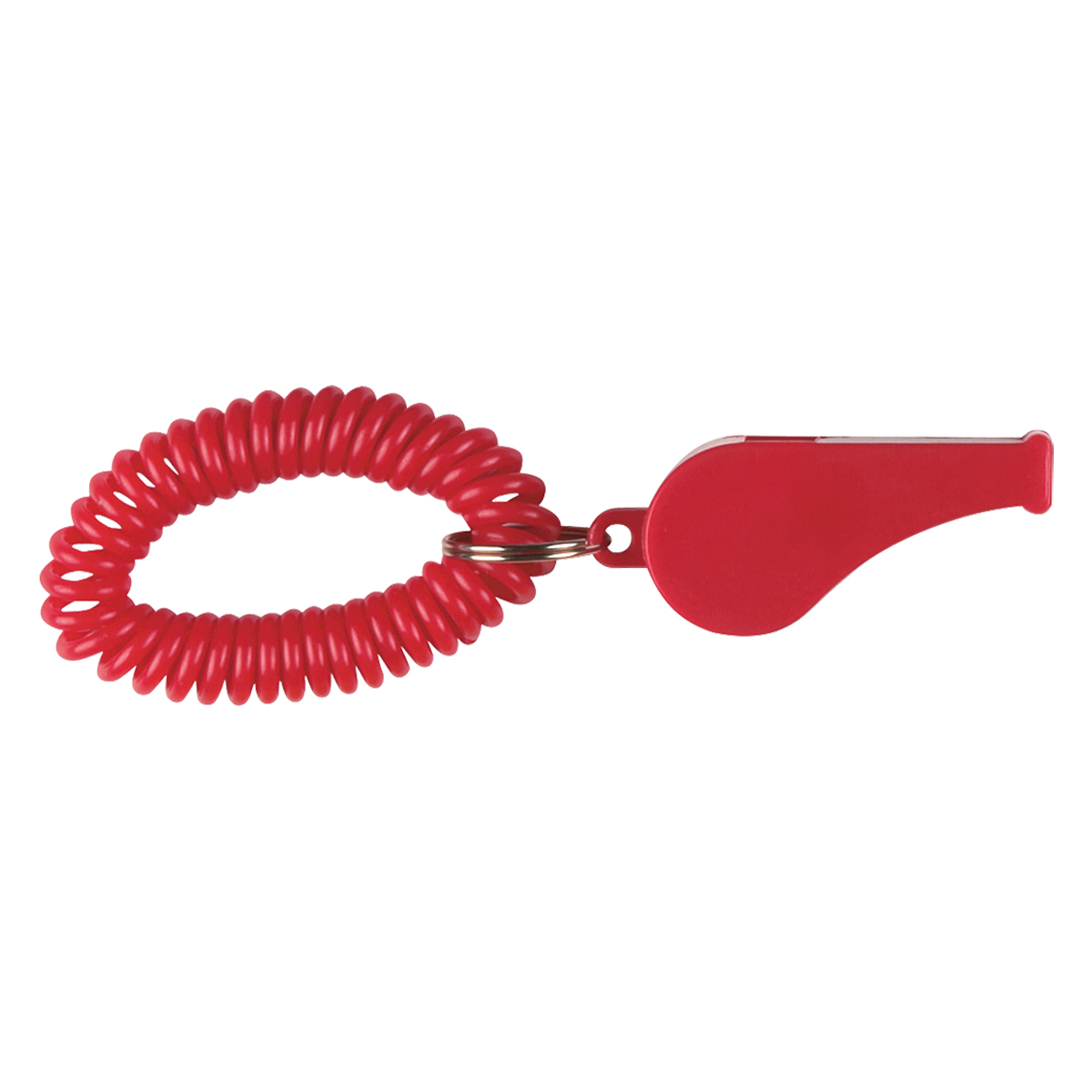Whistle With Coil 1