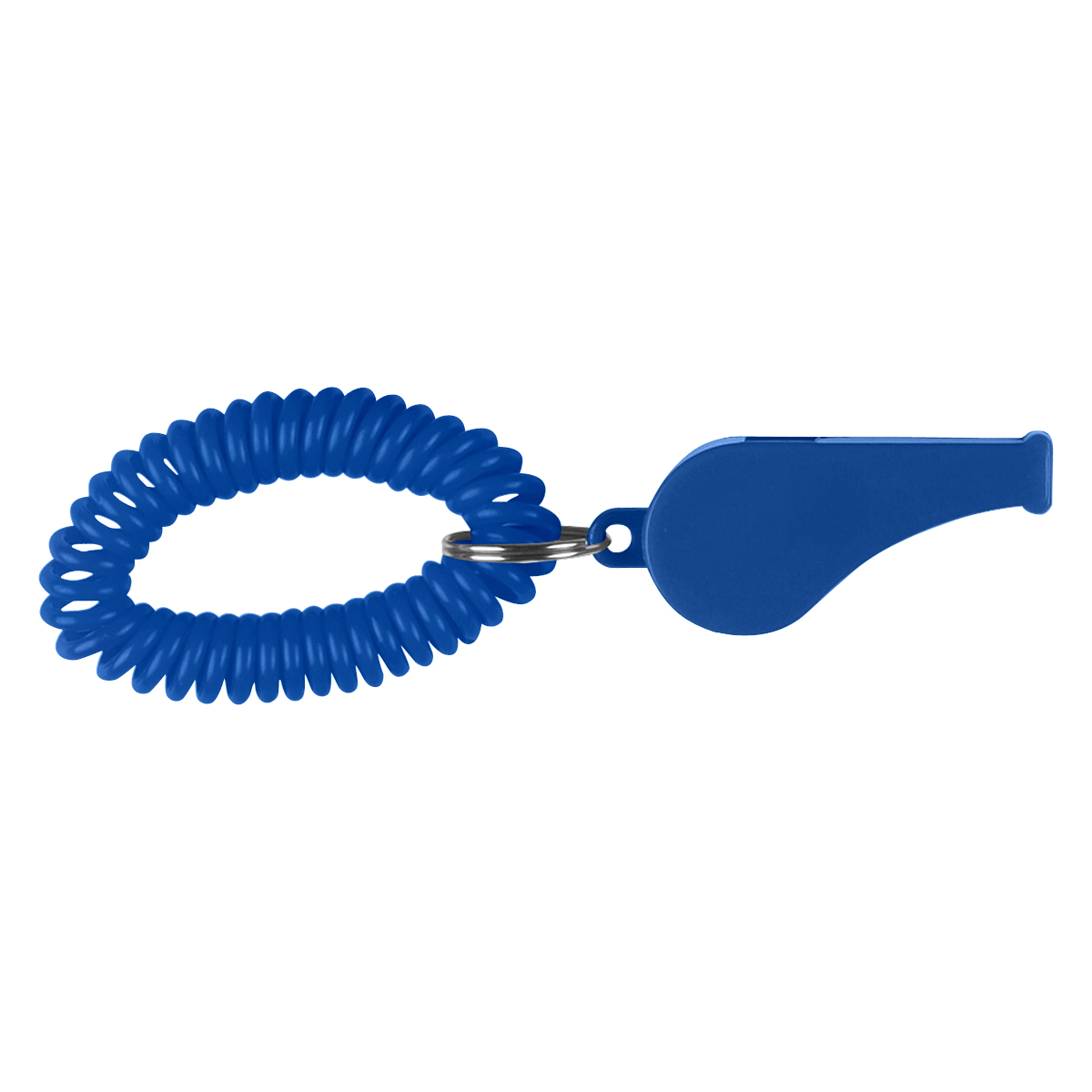 Whistle With Coil 1