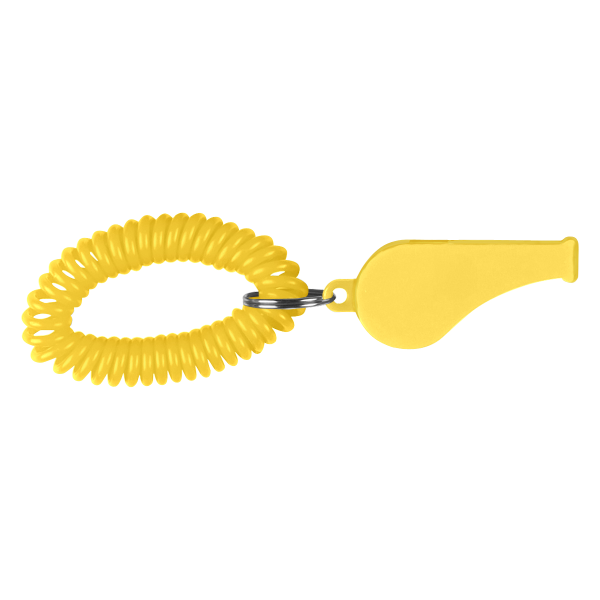 Whistle With Coil 1