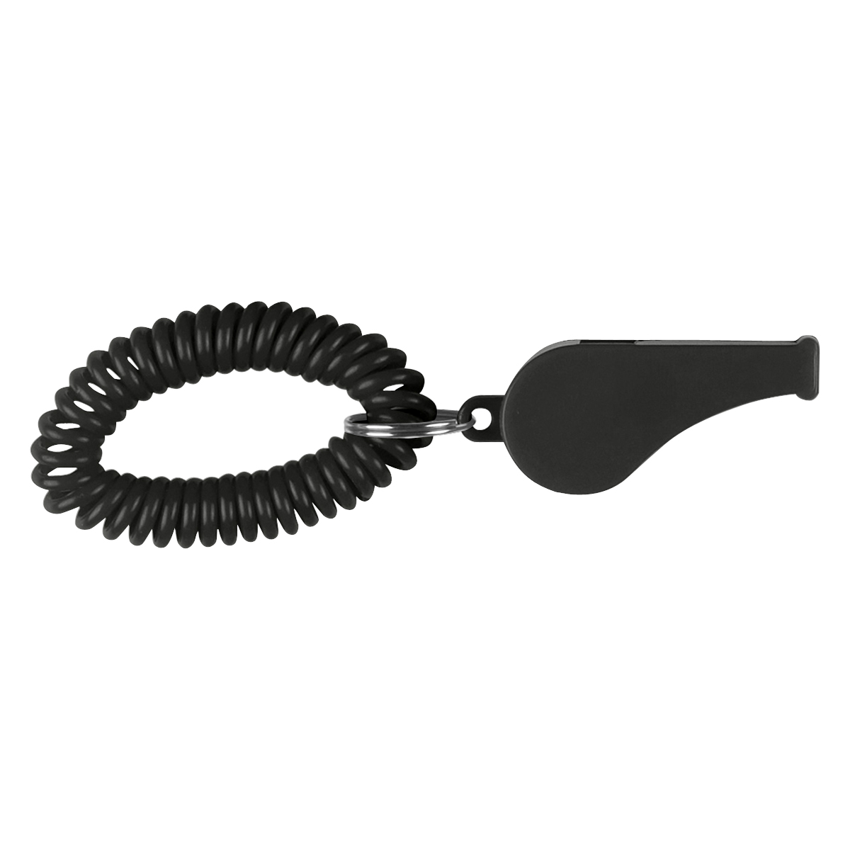 Whistle With Coil 1