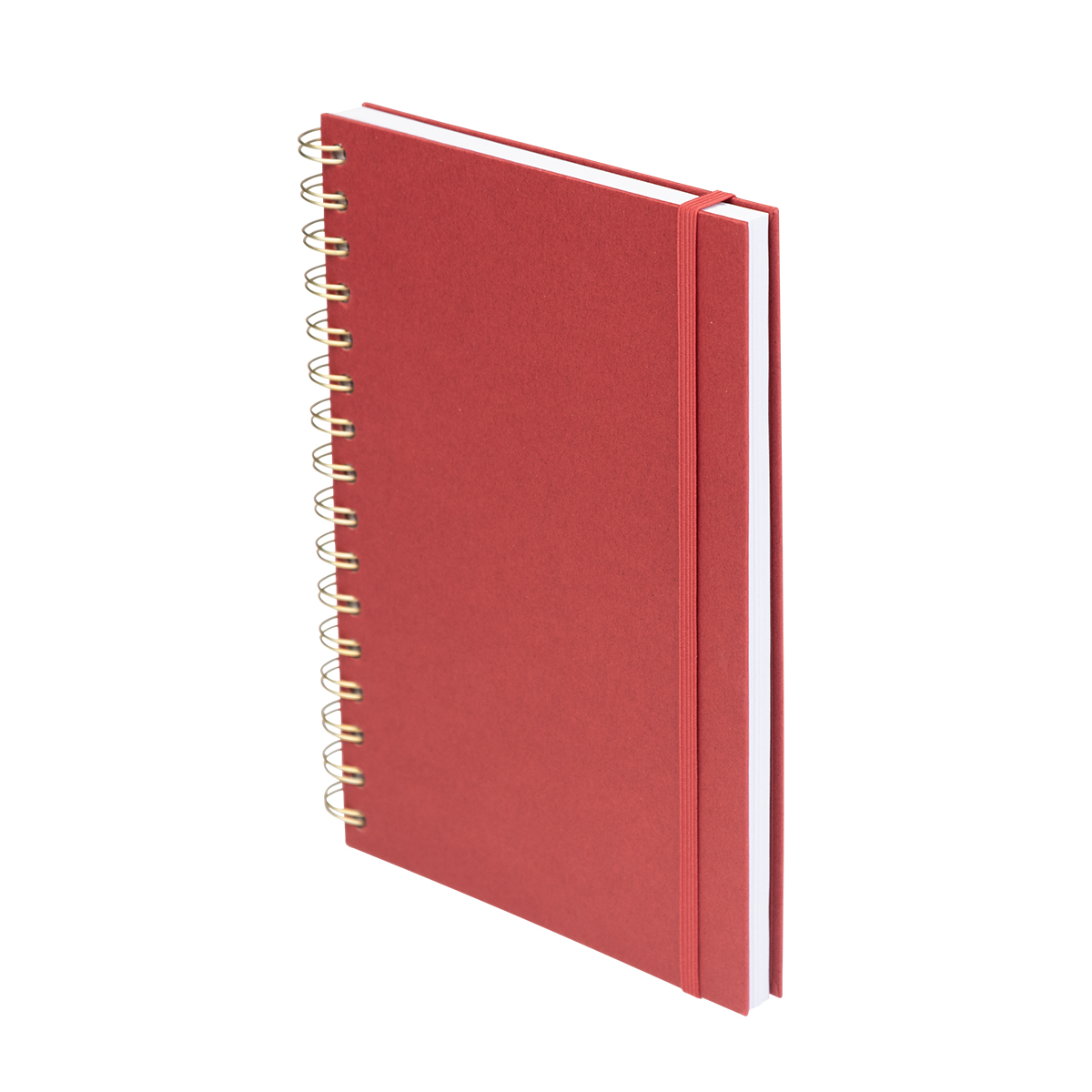 Fruit Paper Spiral Notebook 1