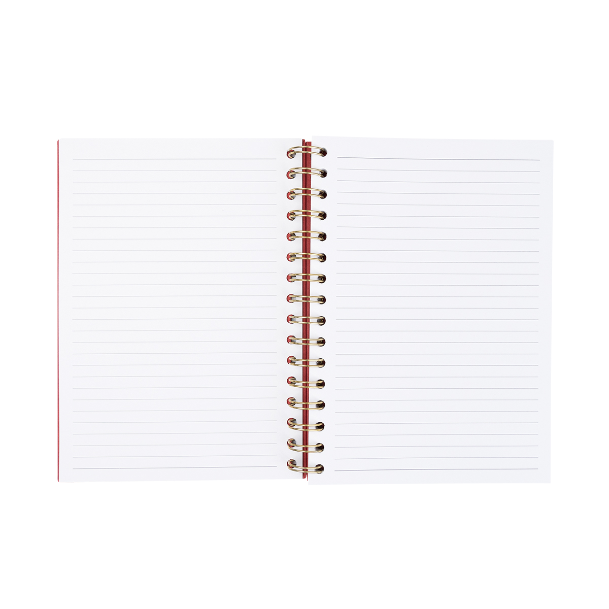 Fruit Paper Spiral Notebook 1