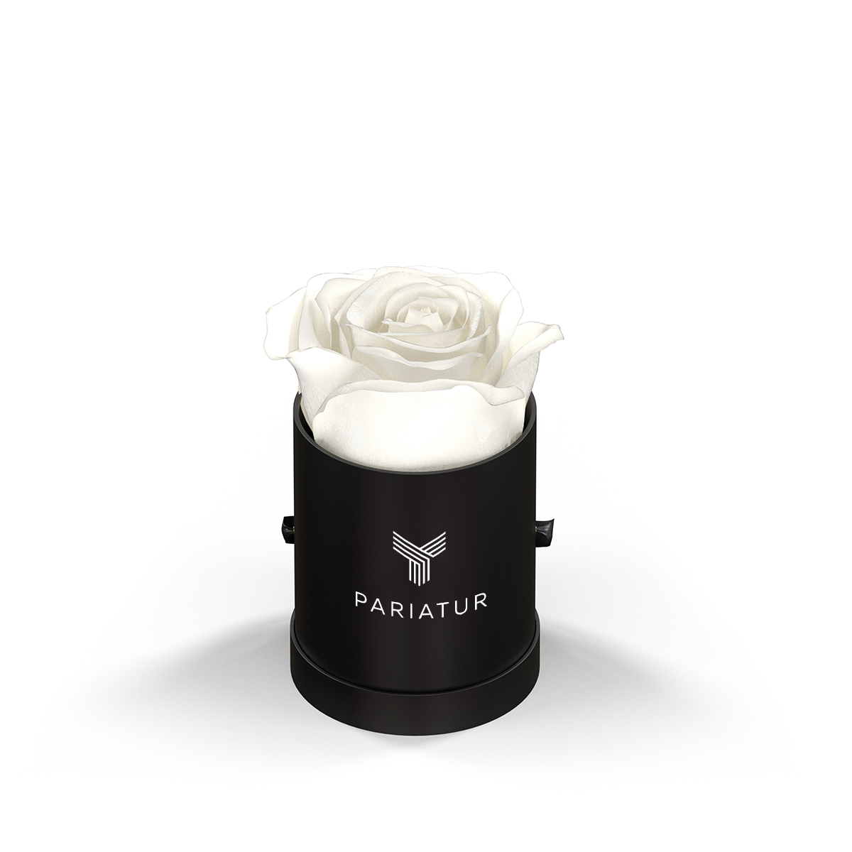 Classique By Vef Le Mini™ Round 1