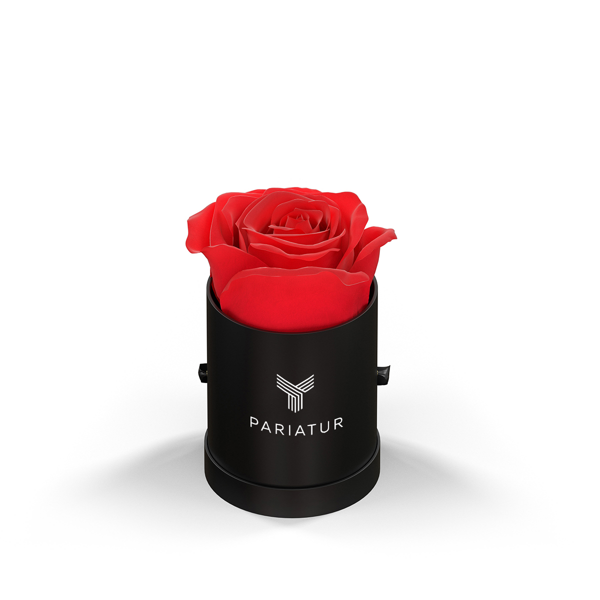 Classique By Vef Le Mini™ Round 1