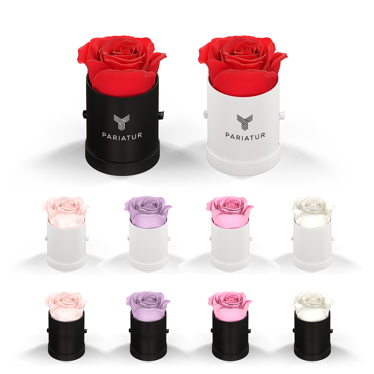 Classique By Vef Le Mini™ Round 1