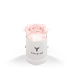 Classique By Vef Le Mini™ Round - 93920 WHTBOX BLUSH Silkscreen Classique By Vef Le Mini™ Round - 93920 WHTBOX BLUSH Silkscreen