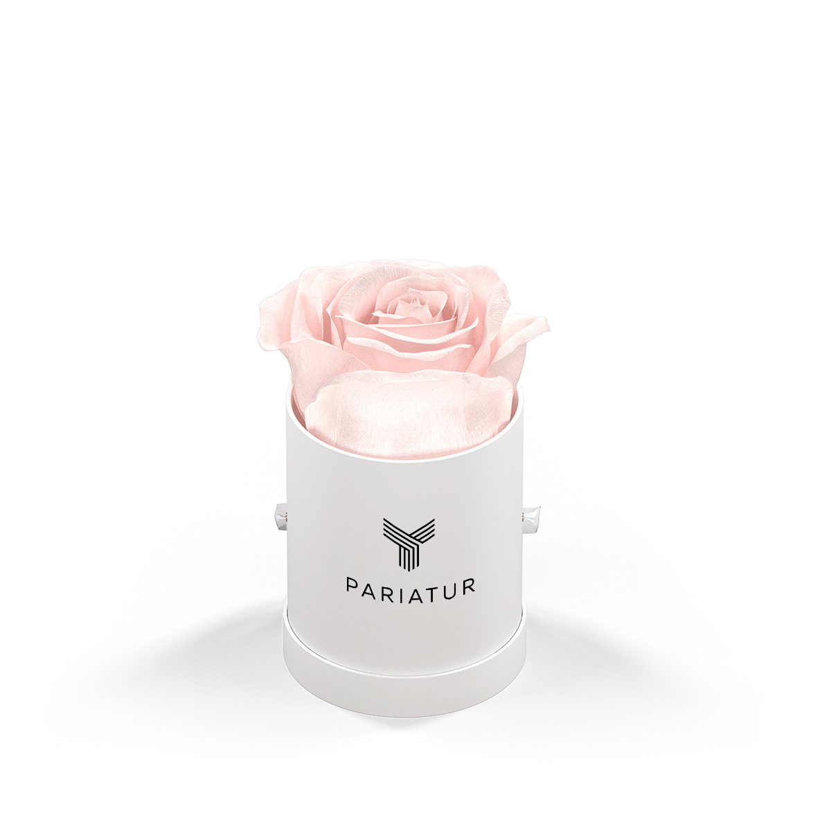Classique By Vef Le Mini™ Round 1