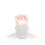 Classique By Vef Le Mini™ Round - 93920 WHTBOX BLUSH Classique By Vef Le Mini™ Round - 93920 WHTBOX BLUSH