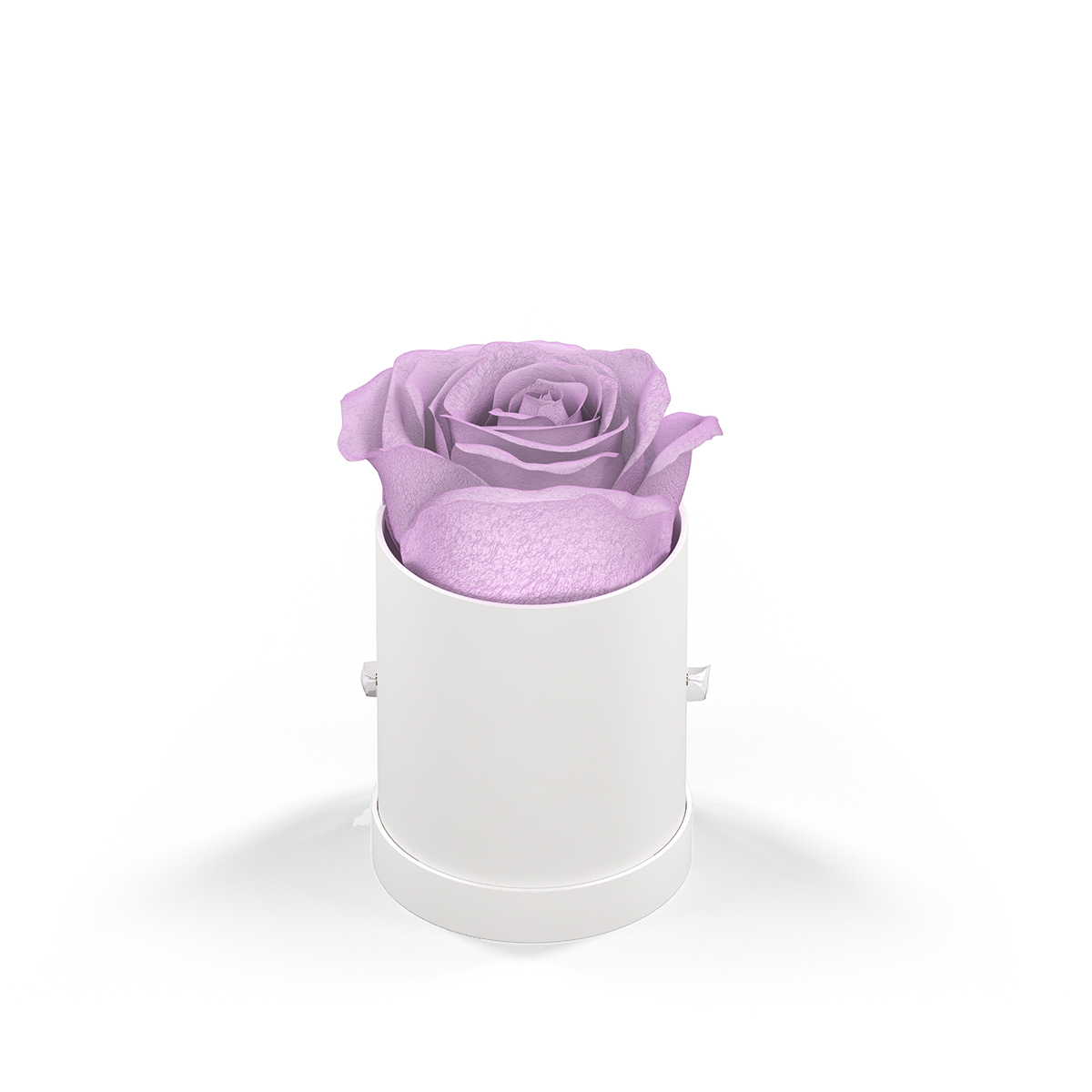 Classique By Vef Le Mini™ Round 1
