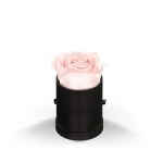 Classique By Vef Le Mini™ Round 2 Classique By Vef Le Mini™ Round 2