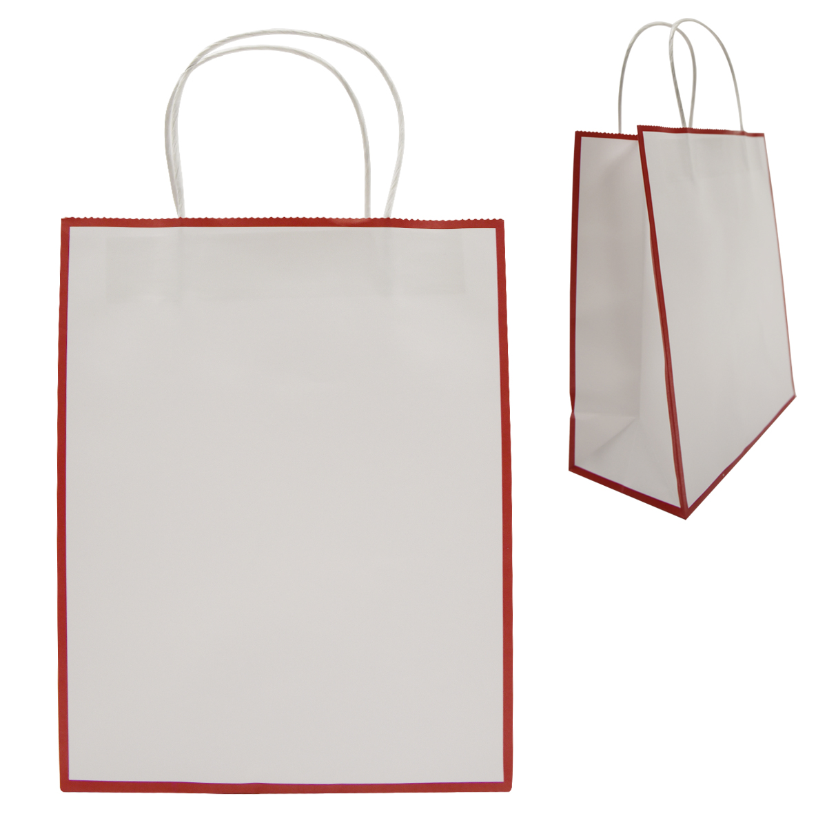 Laminated Paper Gift Bag 1