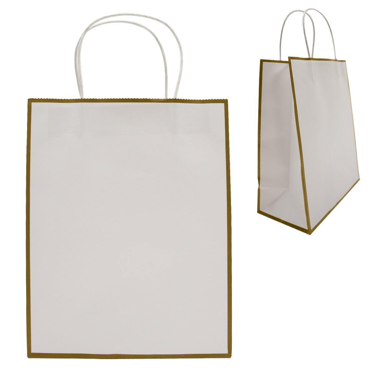 Laminated Paper Gift Bag 1
