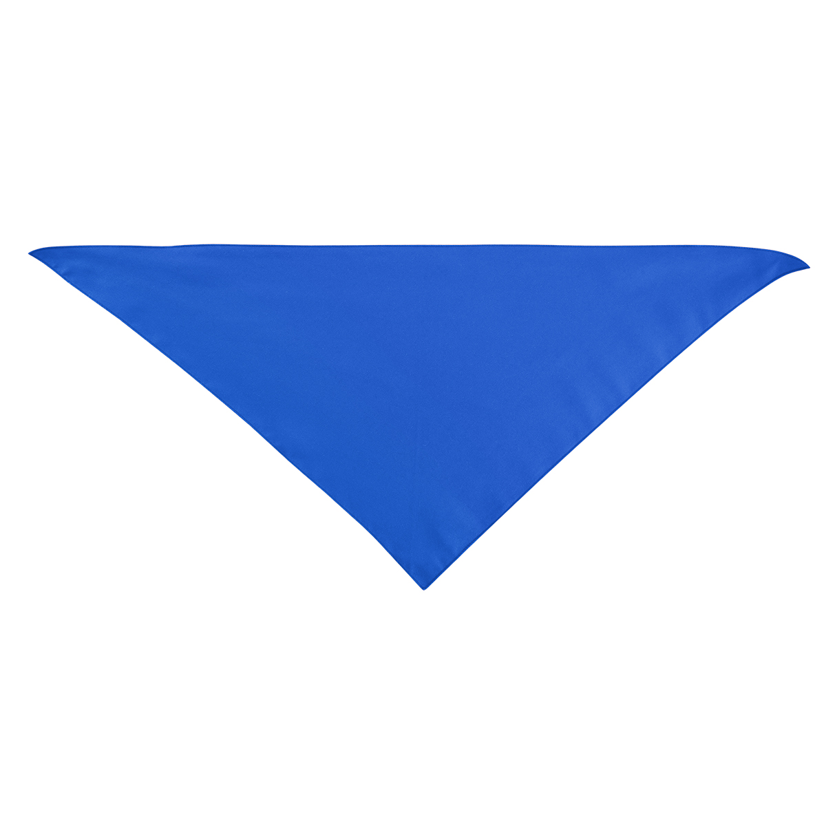 Large Triangle Rpet Pet Bandana 1