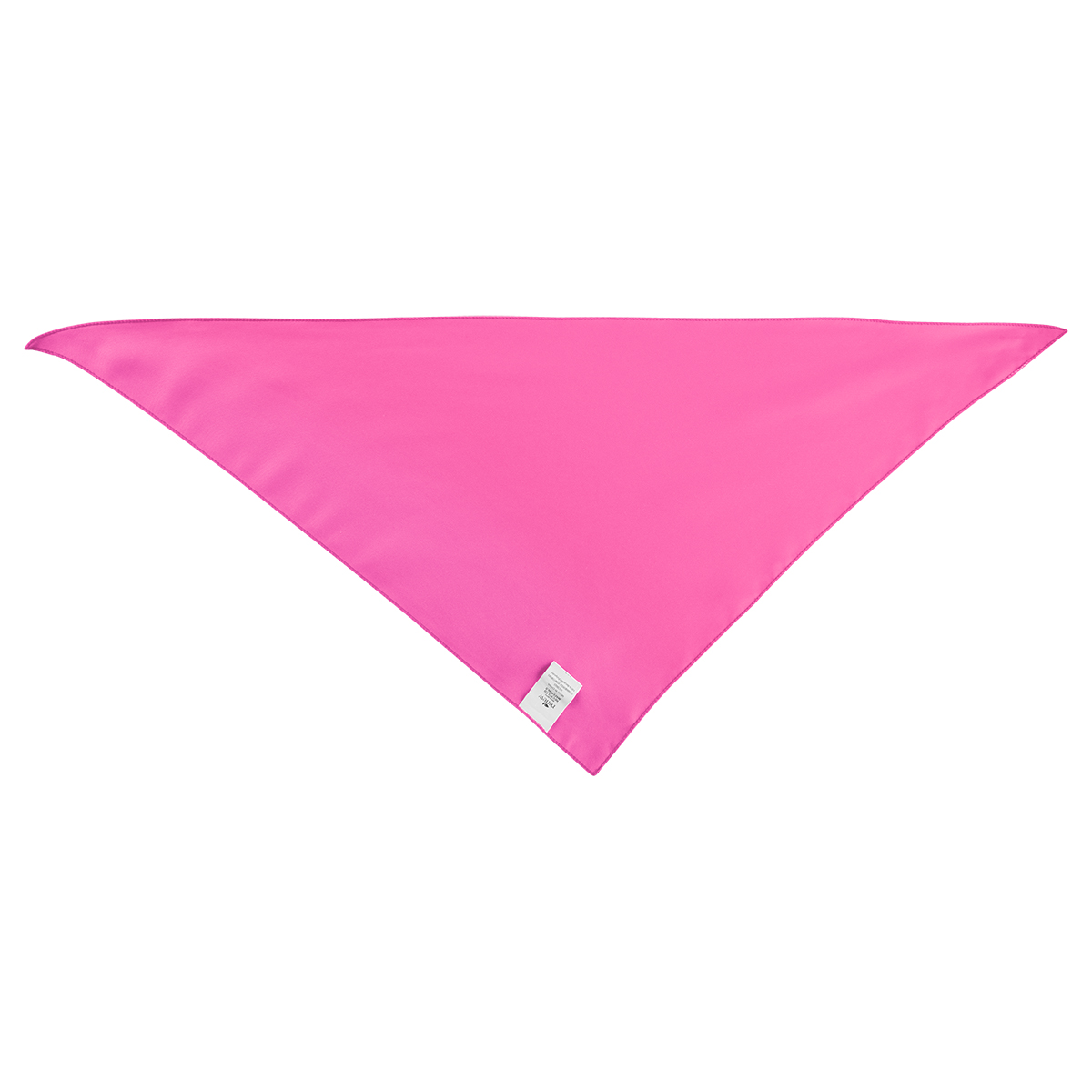 Large Triangle Rpet Pet Bandana 1