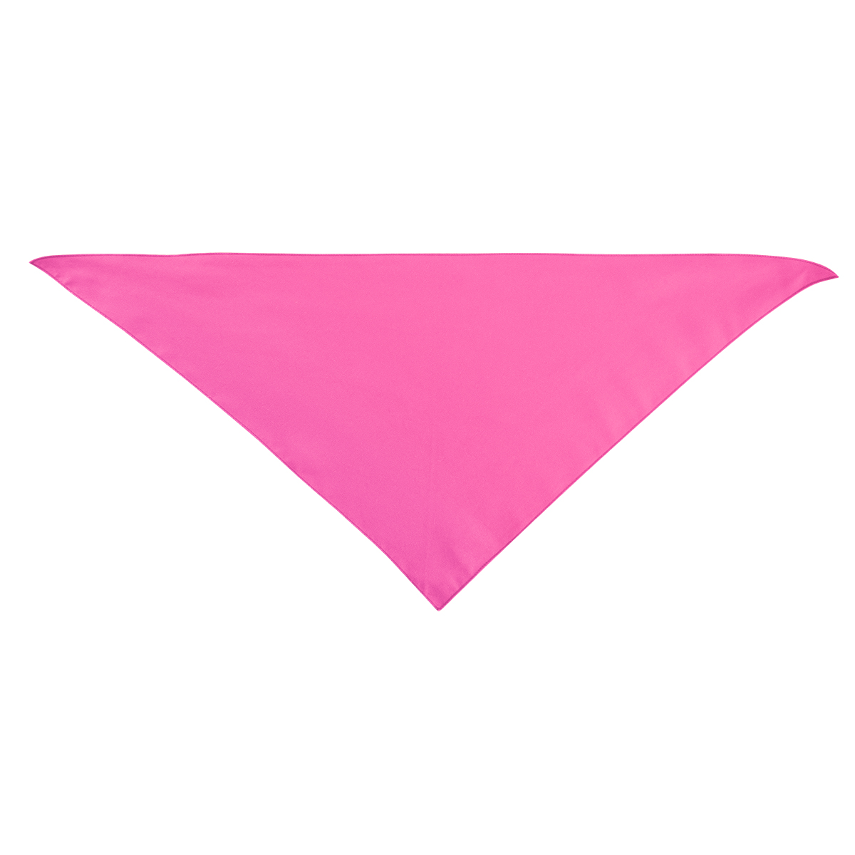 Large Triangle Rpet Pet Bandana 1