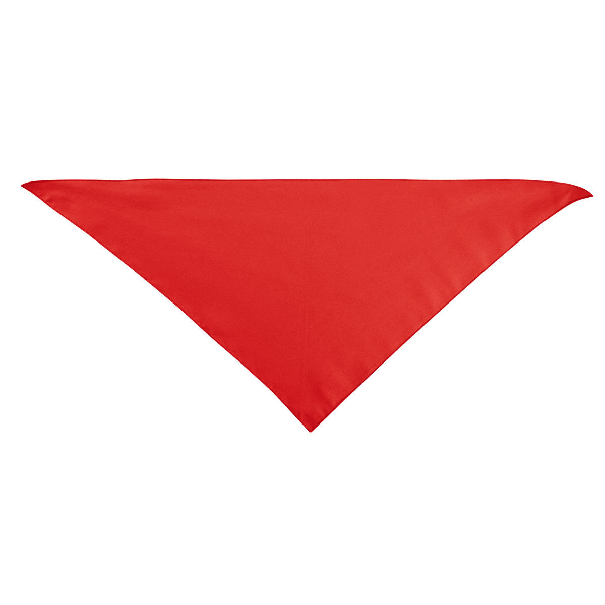 Large Triangle Rpet Pet Bandana 1