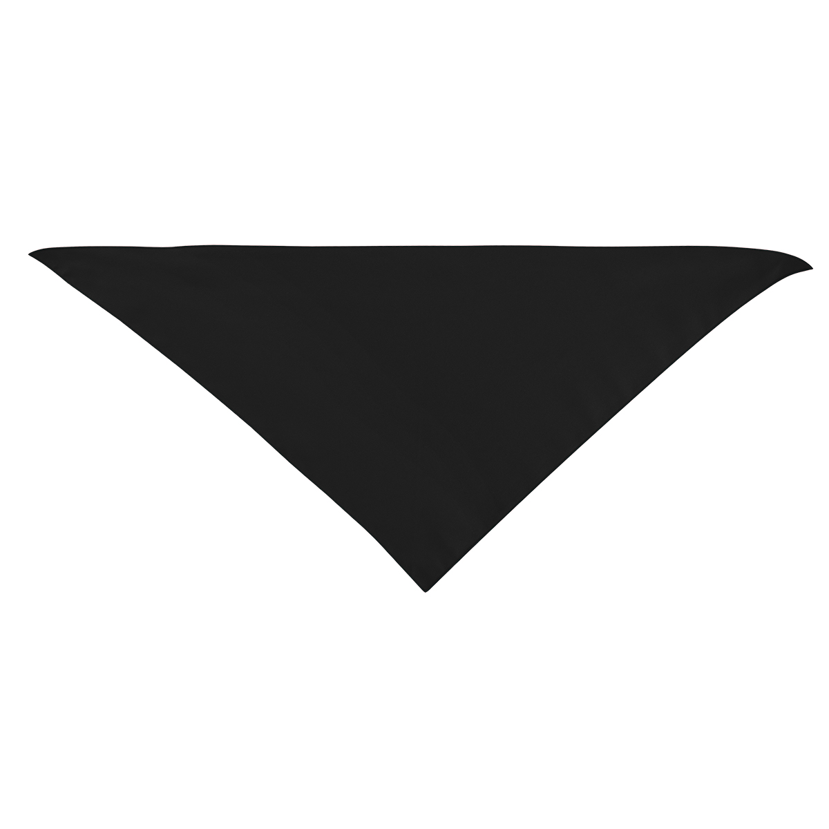 Large Triangle Rpet Pet Bandana 1