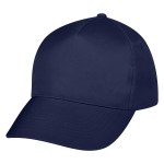 Econo Cap - 1085 NAV Blank Econo Cap - 1085 NAV Blank