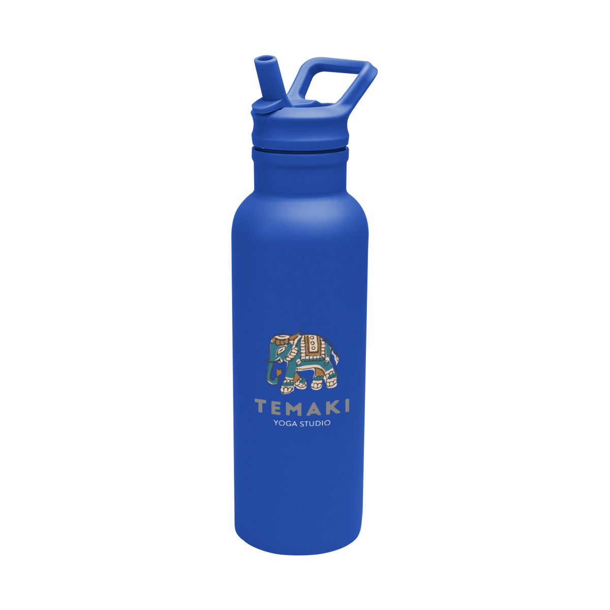 17 Oz. Hailey Recycled Stainless Steel Bottle 1