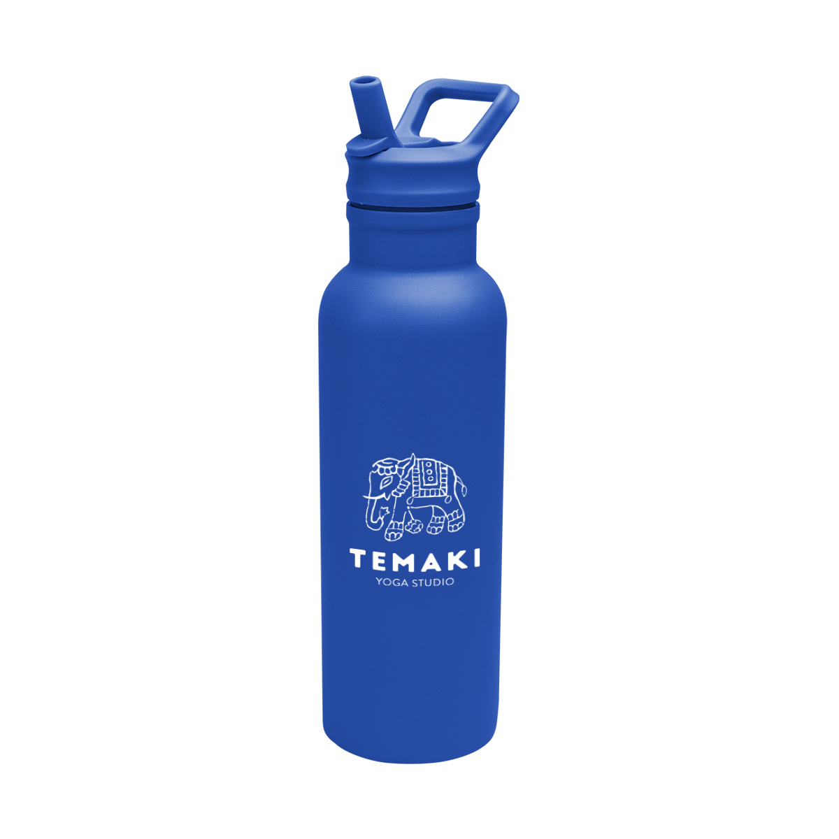 17 Oz. Hailey Recycled Stainless Steel Bottle 1