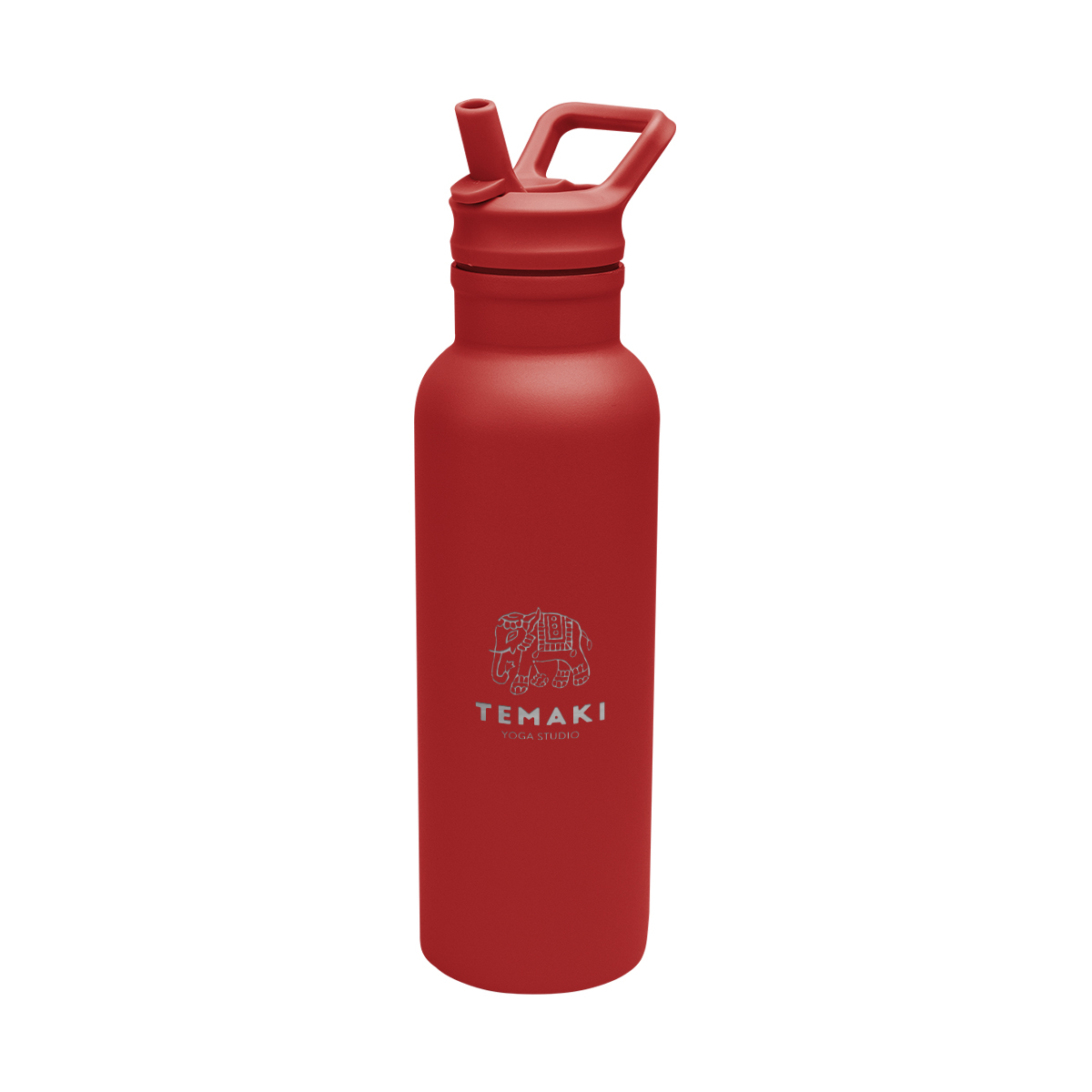 17 Oz. Hailey Recycled Stainless Steel Bottle 1