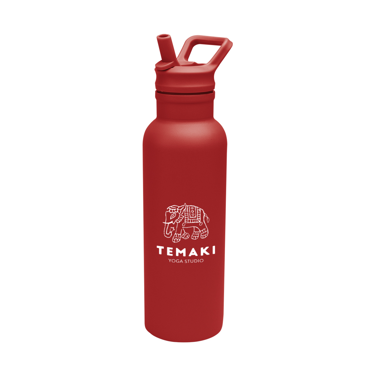 17 Oz. Hailey Recycled Stainless Steel Bottle 1