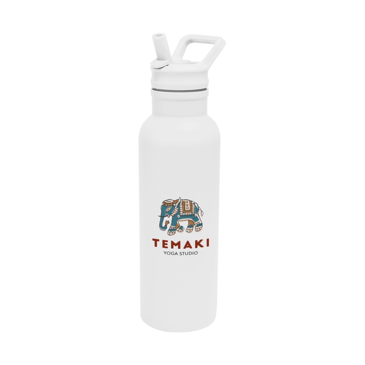 17 Oz. Hailey Recycled Stainless Steel Bottle 1