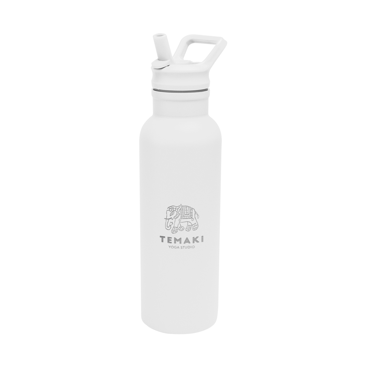 17 Oz. Hailey Recycled Stainless Steel Bottle 1