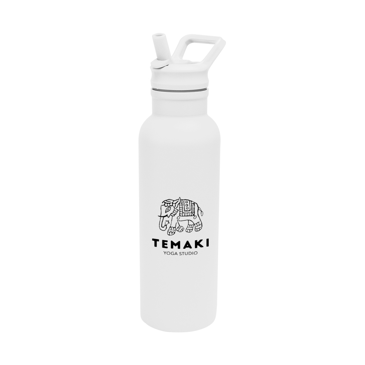 17 Oz. Hailey Recycled Stainless Steel Bottle 1