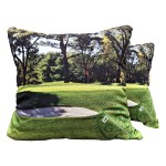 Medium Full Color Throw Pillow 1 Medium Full Color Throw Pillow 1