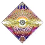 22" X 22" Full Color Bandana 1 22" X 22" Full Color Bandana 1