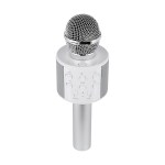 Perfect Pitch Karaoke Microphone - 25650 SIL Angle Perfect Pitch Karaoke Microphone - 25650 SIL Angle