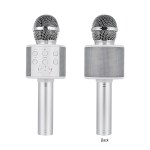 Perfect Pitch Karaoke Microphone - 25650 SIL Blank Perfect Pitch Karaoke Microphone - 25650 SIL Blank