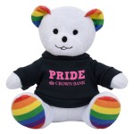 6" Rainbow Bear - 1277 RAINBOW Shirt Silkscreen 6" Rainbow Bear - 1277 RAINBOW Shirt Silkscreen
