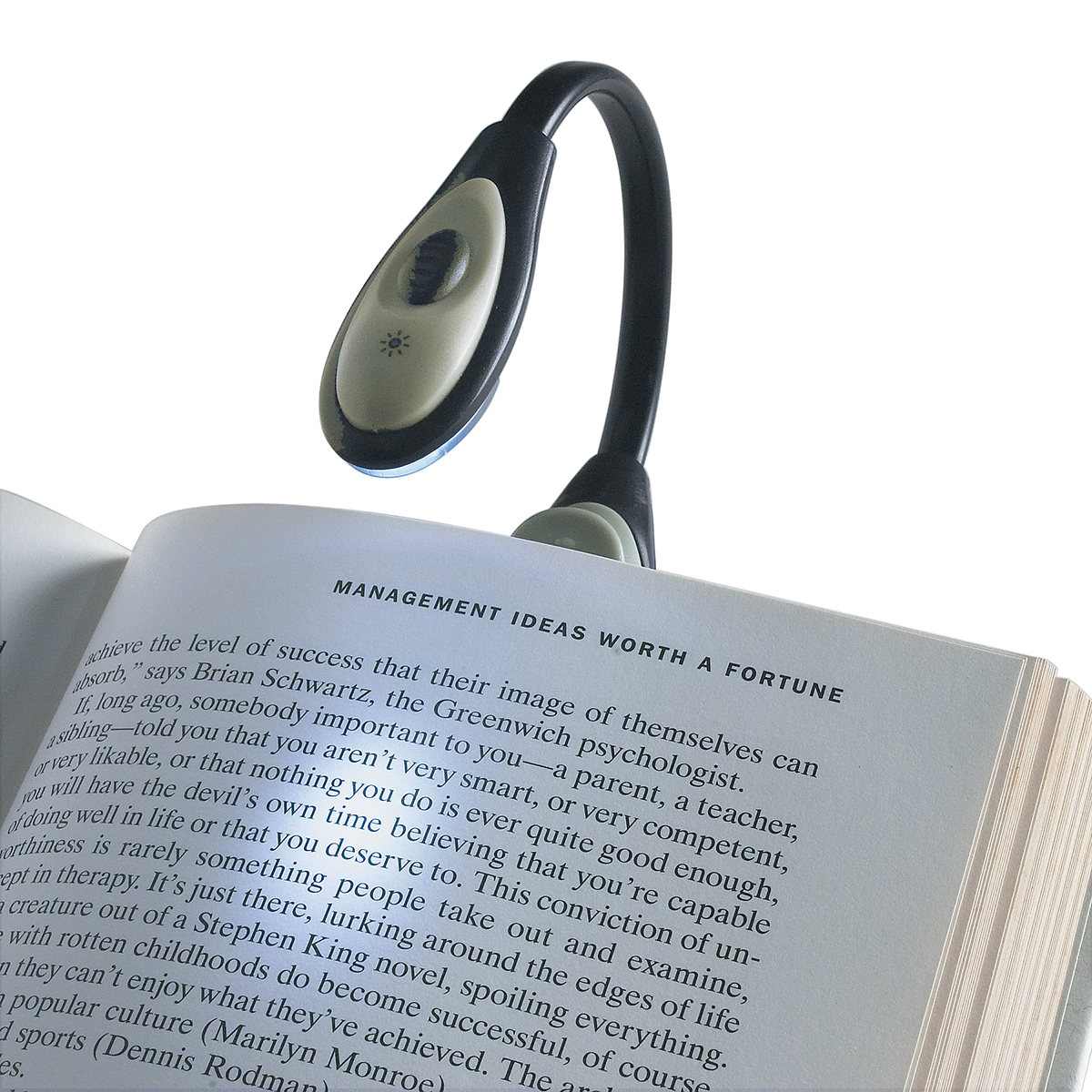Bendable Book Light 1