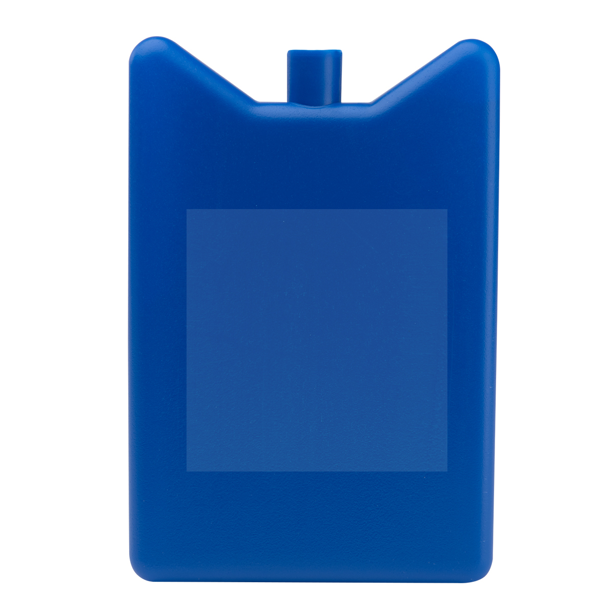 Reusable Ice Pack 1