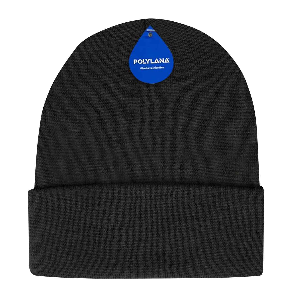 Polyana Knit Cuffed Beanie 1