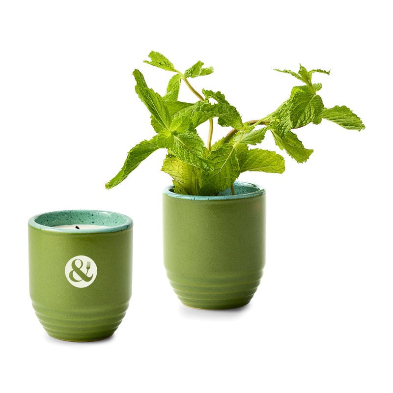 Modern Sprout® Garden Vibes Candle/Planter - In The Weeds-Mint 1 Modern Sprout® Garden Vibes Candle/Planter - In The Weeds-Mint 1