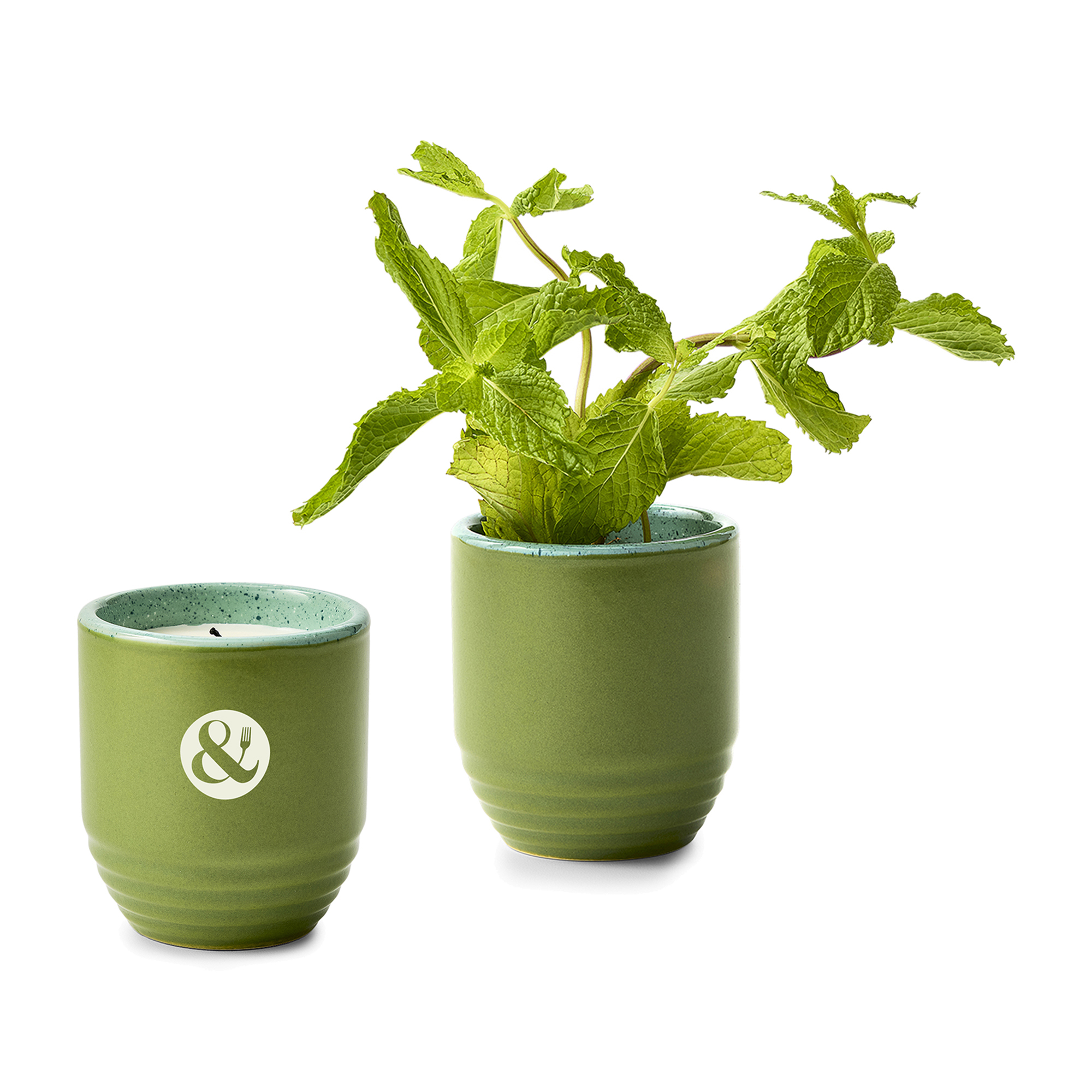 Modern Sprout® Garden Vibes Candle/Planter - In The Weeds-Mint 1 Modern Sprout® Garden Vibes Candle/Planter - In The Weeds-Mint 1