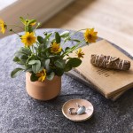 Modern Sprout Tiny Terracotta Thank You - Terracotta - Alternate Modern Sprout Tiny Terracotta Thank You - Terracotta - Alternate