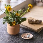 Modern Sprout Tiny Terracotta Thank You - Terracotta - Alternate Modern Sprout Tiny Terracotta Thank You - Terracotta - Alternate