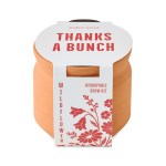 Modern Sprout Tiny Terracotta Thank You - Terracotta - Alternate Modern Sprout Tiny Terracotta Thank You - Terracotta - Alternate
