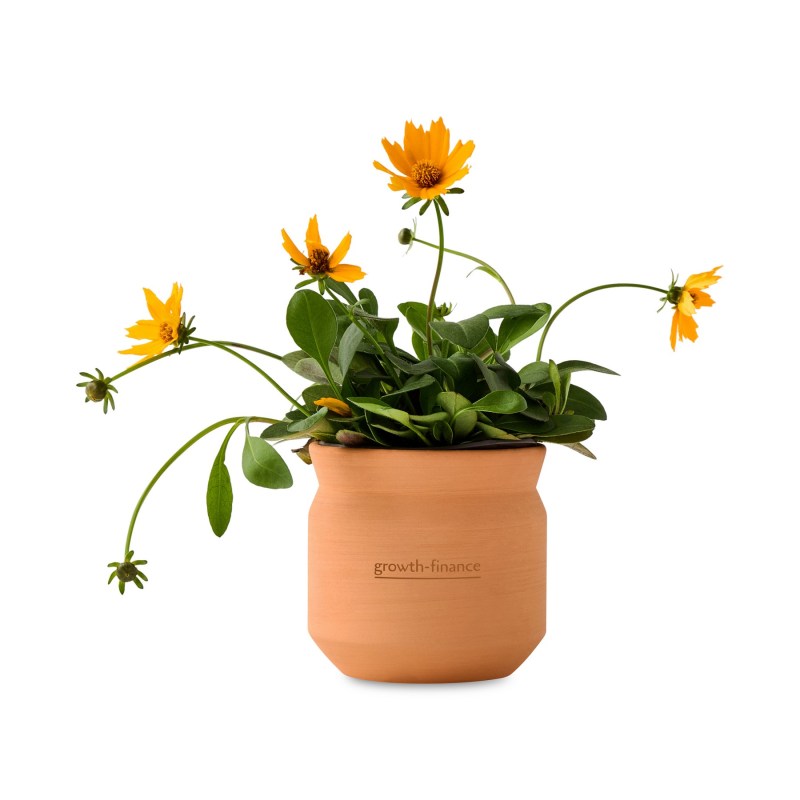 Modern Sprout Tiny Terracotta Thank You - Terracotta 1 Modern Sprout Tiny Terracotta Thank You - Terracotta 1