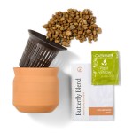 Modern Sprout Tiny Terracotta Thank You - Terracotta - Alternate Modern Sprout Tiny Terracotta Thank You - Terracotta - Alternate
