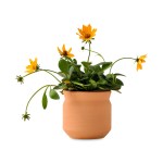 Modern Sprout Tiny Terracotta Thank You - Terracotta 2 Modern Sprout Tiny Terracotta Thank You - Terracotta 2