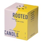 Modern Sprout® Rooted Candle - Mustard-Lavender - Alternate Modern Sprout® Rooted Candle - Mustard-Lavender - Alternate