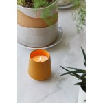 Modern Sprout® Rooted Candle - Mustard-Lavender - Alternate Modern Sprout® Rooted Candle - Mustard-Lavender - Alternate